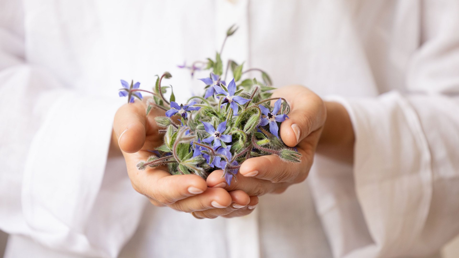 Hotel Weissenstein in St. Michael im Lungau Hotel Weissenstein in St. Michael im Lungau