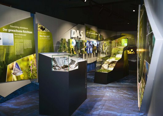 Sommererlebnisse im Wanderparadies Österreich Sommererlebnisse im Wanderparadies Österreich