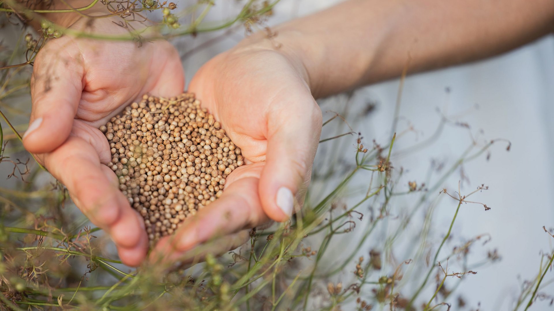 Hotel Weissenstein in St. Michael im Lungau Hotel Weissenstein in St. Michael im Lungau
