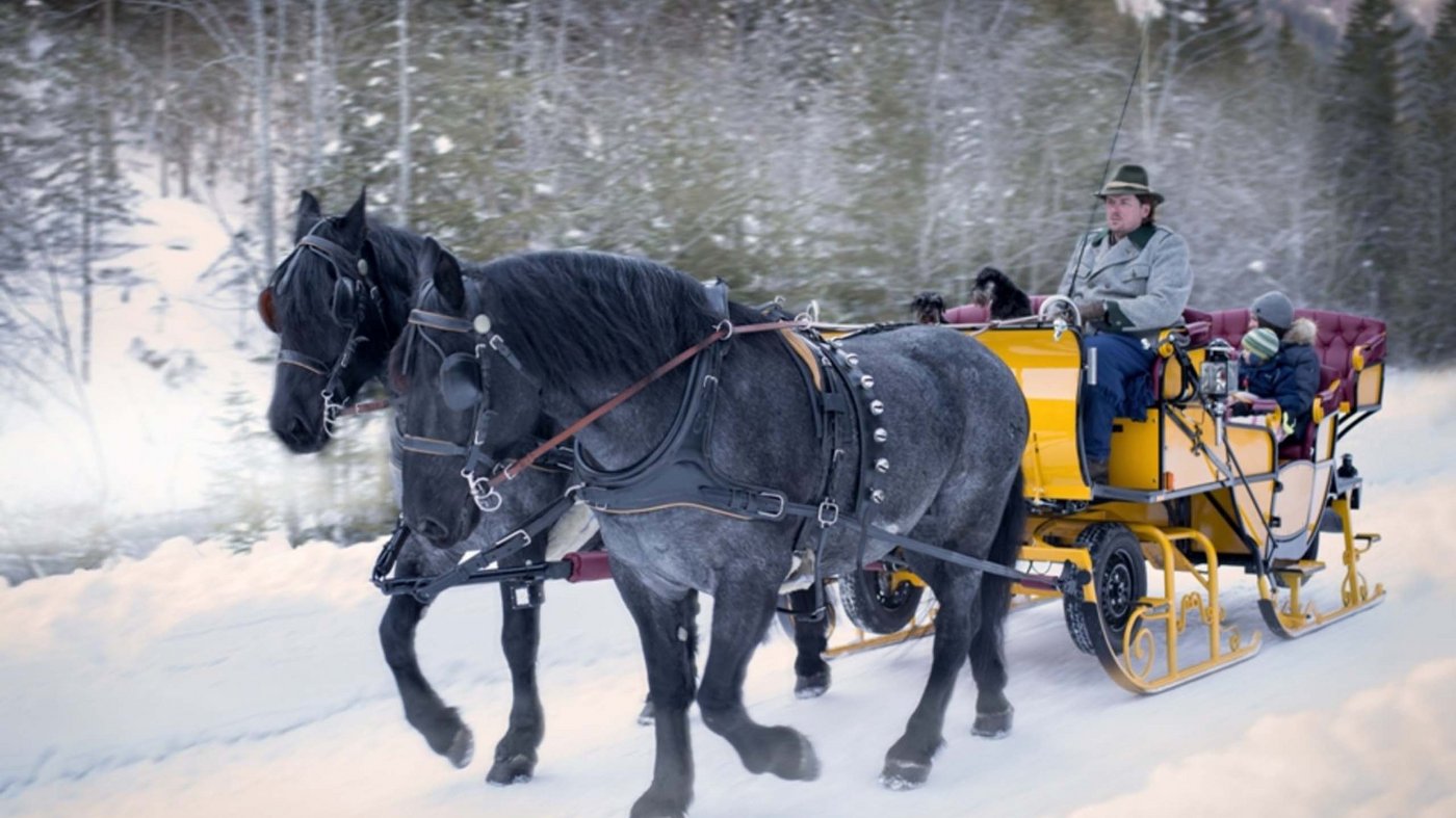 Unser Hotel am Katschberg: an der Piste, bei Tisch, im Pool Unser Hotel am Katschberg: an der Piste, bei Tisch, im Pool
