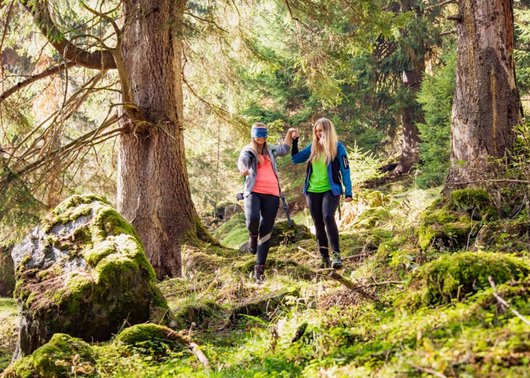 Sommererlebnisse im Wanderparadies Österreich Sommererlebnisse im Wanderparadies Österreich