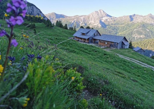 Sommererlebnisse im Wanderparadies Österreich Sommererlebnisse im Wanderparadies Österreich