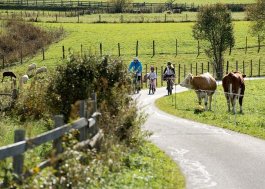 Hotel in St. Michael im Lungau: Weissenstein Nature Retreat Hotel in St. Michael im Lungau: Weissenstein Nature Retreat